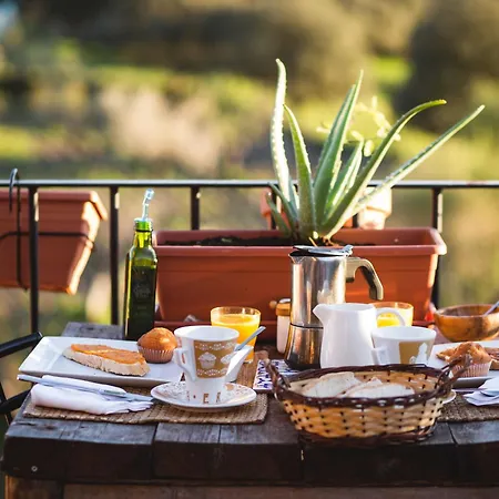 Therma Agreste Bermellar