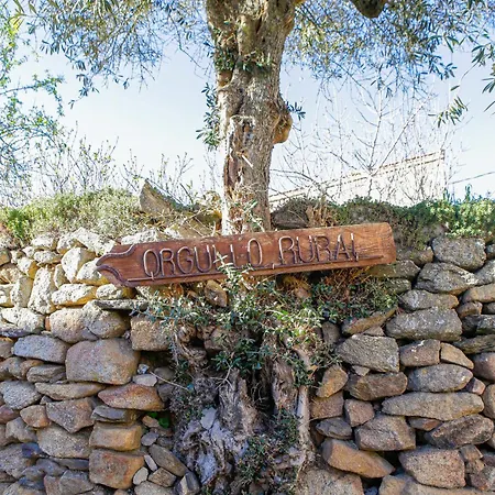 Therma Agreste Bermellar